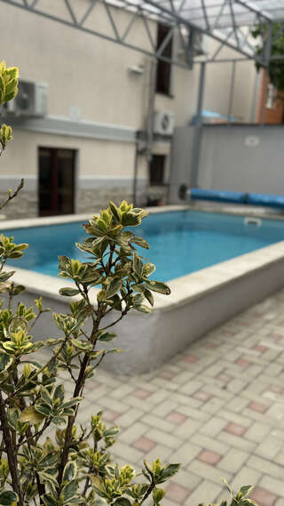 Гостиница Гостевой дом Дальний Восток Геленджик-6